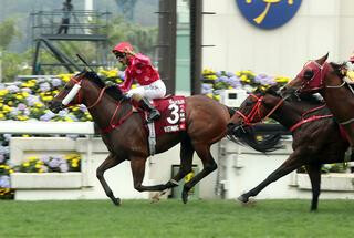Mr Stunning claims the 2020 G1 Chairman's Sprint Prize. Photo Cred: HKJC 